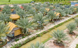 Chàng trai miền Tây biến vườn chà là ở vùng biên thành điểm du lịch hấp dẫn