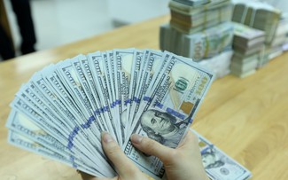 Giá USD hôm nay 30.6.2026: Đô tự do quay đầu giảm