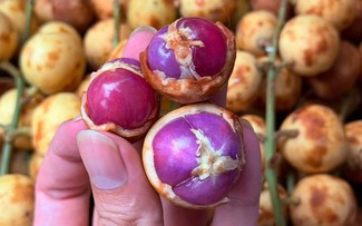 Nhiều người lần đầu thấy trái dâu da ruột tím giá 120.000 đồng/kg: Hương vị thế nào?