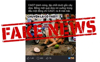 Thông tin 'CSGT lập chốt bị dừa rơi trúng đầu tử vong' là bịa đặt