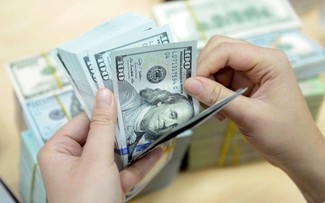 Giá USD hôm nay 4.7.2026: EUR, bảng ANH… tiếp tục tăng