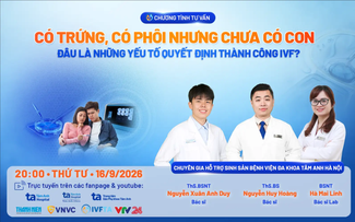 Có trứng, có phôi vẫn chưa có con: Vì sao IVF chưa thành công?