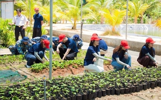 Đất liền gửi triệu mầm xanh ra Trường Sa Đất liền gửi triệu mầm xanh ra Trường Sa