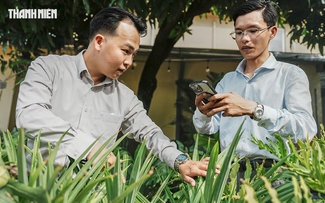 Cấp 'giấy khai sinh' cho cây cảnh