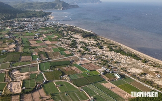 Phát triển điện hạt nhân vì tăng trưởng xanh và an ninh năng lượng Phát triển điện hạt nhân vì tăng trưởng xanh và an ninh năng lượng