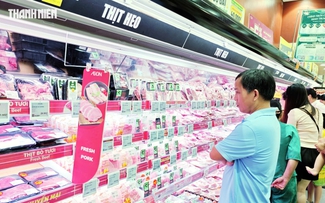 Giá heo hơi hôm nay 29.9.2026: Chưa có điểm dừng Giá heo hơi hôm nay 29.9.2026: Chưa có điểm dừng