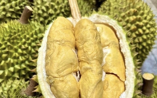 Xuất khẩu sầu riêng mang về 2,7 tỉ USD sau 8 tháng