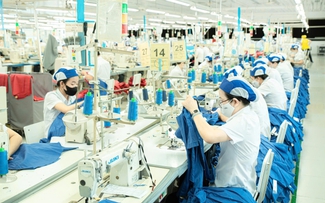 Tăng tốc kinh tế thương mại Việt - Nga
