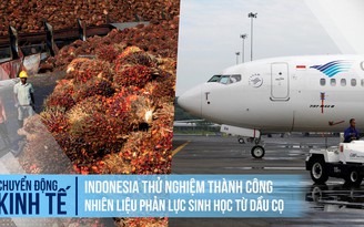 Indonesia thử nghiệm thành công nhiên liệu phản lực sinh học từ dầu cọ