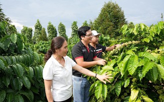 NESCAFÉ Plan giúp phụ nữ Tây nguyên thực hành nông nghiệp tái sinh và phát thải thấp