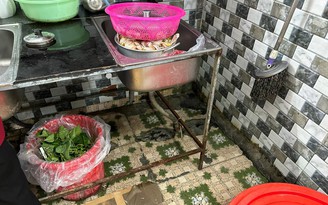 Đà Nẵng: Phát hiện cơ sở nem chua rán, cánh gà rán không nguồn gốc, xuất xứ