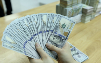 Việt Nam đầu tư ra nước ngoài hơn 424 triệu USD