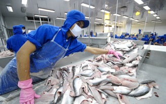 Thủy sản xuất khẩu EU bị khuyến nghị giám sát an toàn thực phẩm