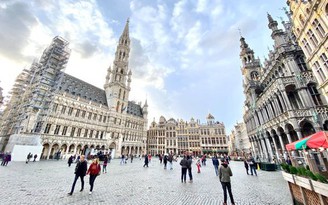 Văn hóa và nghệ thuật của Brussels
