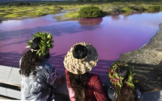 Bí ẩn hồ nước chuyển màu hồng ở Hawaii