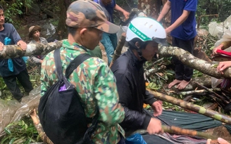 Điều tra nguyên nhân vụ cây ngã đổ đè chết 3 người giữa rừng ở Đắk Lắk
