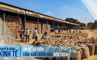 Ấn Độ dự kiến cấm xuất khẩu gạo đến 2024