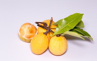 Hào khí miền Đông: Cả một trời thương
