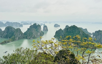 Nơi nào của Việt Nam vào top điểm đến tuyệt vời nhất thế giới?