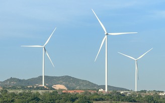 Chính phủ yêu cầu 'ưu tiên khai thác tối đa nguồn điện gió, mặt trời có sẵn'