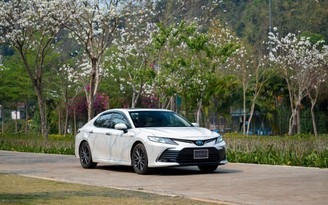 Vì sao Toyota Camry thống trị phân khúc sedan cỡ D?