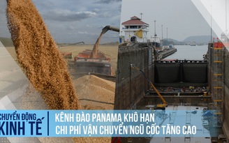 Kênh đào Panama thiếu nước vì hạn, chi phí vận chuyển ngũ cốc tăng cao