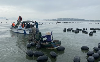 Cưỡng chế công trình nuôi trồng thủy sản trái phép trên vịnh Hạ Long