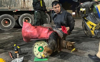 CSGT truy đuổi hơn 6 km bắt kẻ trộm chó ở Bình Phước