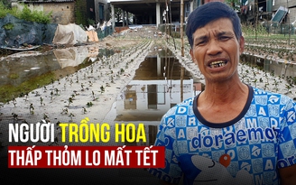 Thấp thỏm lo mất tết vì lũ về ngập úng hàng chục hecta hoa