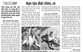 Chung tay ngăn chặn nạn tận diệt chim trời, cá nước