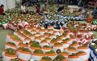 Xuất khẩu mít qua cửa khẩu Lạng Sơn dẫn đầu ngành rau quả