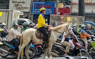 Cưỡi ngựa trên đường phố: Có nghĩ đến an toàn cho mọi người ?