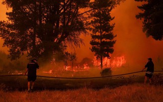 Cháy rừng dữ dội ở Chile, 23 người chết