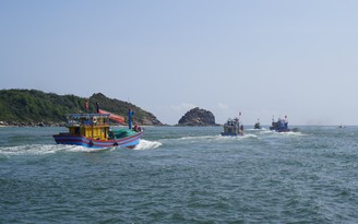 Bình Định: Thủ phủ tàu câu cá ngừ đại dương xông biển đầu năm