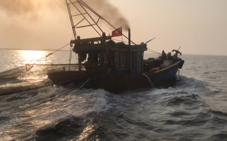 Hà Tĩnh: Bắt giữ 8 tàu giã cào đánh bắt tận diệt hải sản trên biển