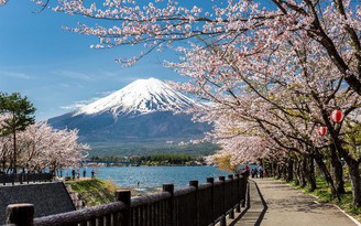 Đi tìm những thiên đường hoa xuân Nhật Bản
