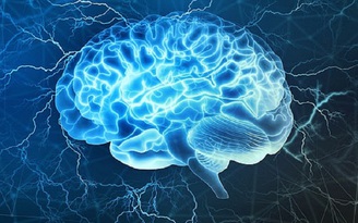 Sẽ tạo trí tuệ nhân tạo từ tế bào não người?