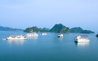 Quảng Ninh đưa du thuyền vịnh Hạ Long sang vịnh Bái Tử Long để khai thác