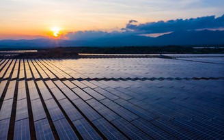 EVN nêu lý do dừng mua 172 MW điện mặt trời của Trung Nam - Thuận Nam