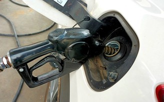 Giá xăng dầu hôm nay 17.3.2023: Lấy lại đà tăng