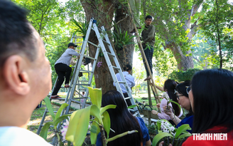 Lưu giữ giống hoa lan rừng quý hiếm trên cây cổ thụ ở Thảo Cầm Viên Sài Gòn