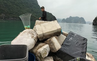 Huy động tàu thuyền dọn dẹp rác thải 'bủa vây' di sản vịnh Hạ Long