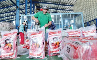 Gạo Việt và Thái đua nhau tăng giá vì Indonesia