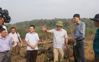 Lãnh đạo UBND tỉnh Đắk Nông kiểm tra hiện trường phá rừng