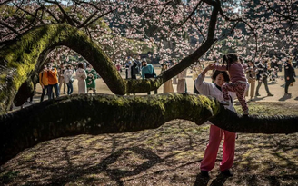 Nhật Bản sẽ ‘biến mất’ nếu không có hành động khuyến khích sinh con