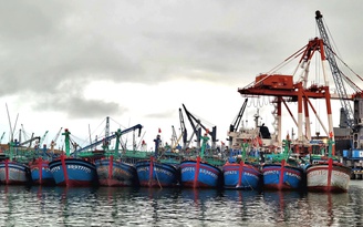 Bình Định: 318 tàu cá có nguy cơ vi phạm IUU