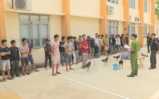 Đắk Lắk: Bắt giữ hàng chục người sát phạt ở trường gà liên tỉnh