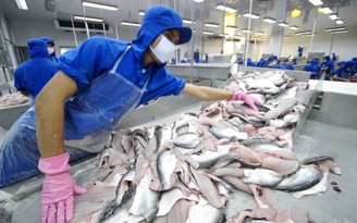 Xây dựng thương hiệu cho tôm, cá tra và cá ngừ Việt Nam