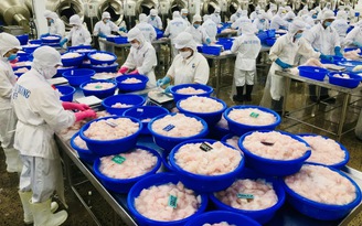 Người Mỹ thắt chặt chi tiêu, thủy sản Việt Nam trông chờ thị trường Trung Quốc