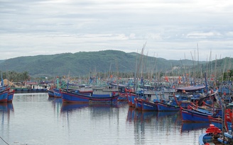 Thủ tướng phê bình 4 tỉnh để tàu cá vi phạm vùng biển nước ngoài